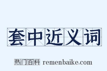 套中近义词是什么意思的图片